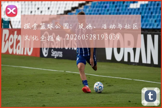 探索篮球公园：设施、活动与社区文化全指南_20260528193039