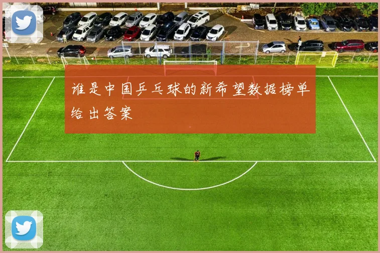 谁是中国乒乓球的新希望数据榜单给出答案